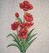 Red Poppy Group, Flowers, Poppies, Embroidered, Iron on Patch